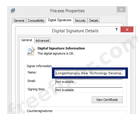 Screenshot of the LongzeXiangsu New Technology Development Co., Ltd. certificate